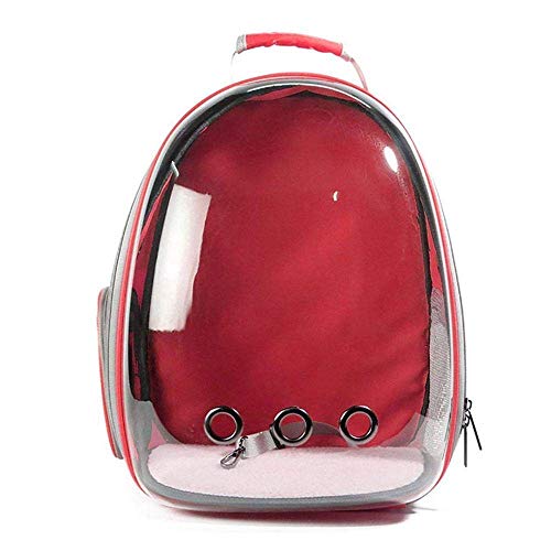 ECOSWAY Transparente und atmungsaktive Tasche für kleine und mittelgroße Haustiere, mit Luftlöchern, für Kätzchen und Hunde, tragbarer Outdoor-Haustier-Rucksack, Gelb von ECOSWAY