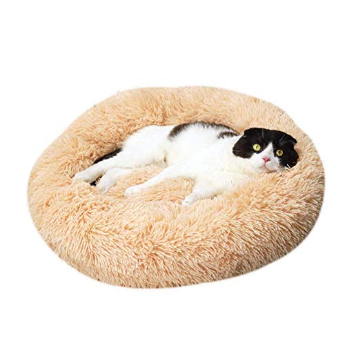 ECOSWAY Weich Plüsch Rund Donut Haustier Bett, Mittelgroß Klein Hund/Katze Selbst Erwärmung Plüsch Bett, Schlafen Kuschelig Kitty Teddy Hundehütte - Gelb, 40CM von ECOSWAY