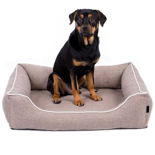 EDANTI Hundebett Demontierbar Hundekissen, Hundekorb, Hundesofa, Hundecouch, Matte, Orthopädische (Beige, Weiß Paspel, XL) von EDANTI