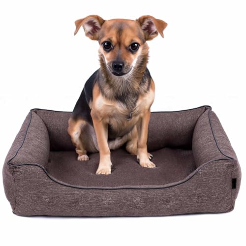 EDANTI Hundebett Demontierbar Hundekissen, Hundekorb, Hundesofa, Hundecouch, Matte, Orthopädische (Braun, Schwarz Paspel, M) von EDANTI