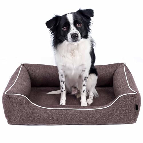 EDANTI Hundebett Demontierbar Hundekissen, Hundekorb, Hundesofa, Hundecouch, Matte, Orthopädische (Braun, Weiß Paspel, S) von EDANTI