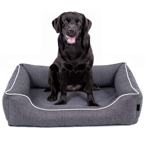 EDANTI Hundebett Demontierbar Hundekissen, Hundekorb, Hundesofa, Hundecouch, Matte, Orthopädische (Stahl, Weiß Paspel, S) von EDANTI