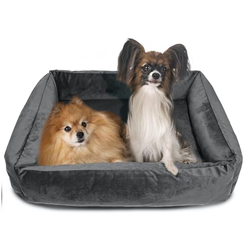 EDANTI Hundebett Hundekissen Hundekorb Katzenbett Velourshundebett Wasserdichtes Hundesofa Für Kleine Mittelgroße & Große Hunde Dog Bed (Grau, 120x90 cm) von EDANTI