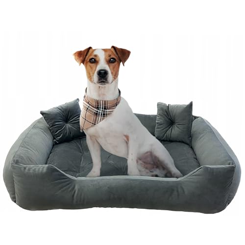 EDANTI Hundebett Hundekissen Hundekorb Katzenbett Velourshundebett Wasserdichtes Hundesofa Für Kleine Mittelgroße & Große Hunde Dog Bed (Grau, 120x90 cm) von EDANTI