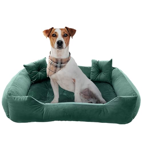 EDANTI Hundebett Hundekissen Hundekorb Katzenbett Velourshundebett Wasserdichtes Hundesofa Für Kleine Mittelgroße & Große Hunde Dog Bed (Grün, 120x90 cm) von EDANTI