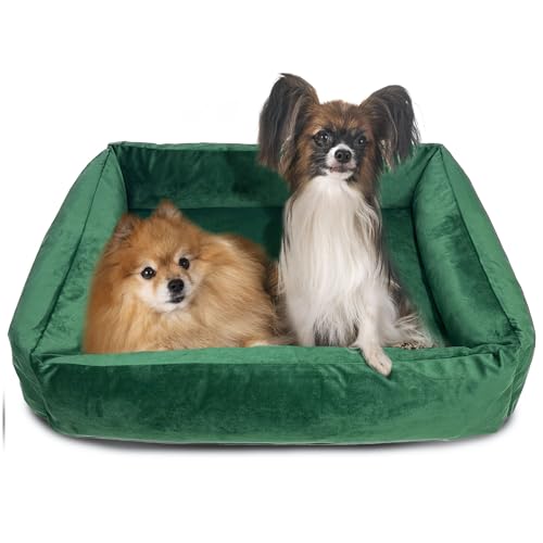 EDANTI Hundebett Hundekissen Hundekorb Katzenbett Velourshundebett Wasserdichtes Hundesofa Für Kleine Mittelgroße & Große Hunde Dog Bed (Grün, 120x90 cm) von EDANTI