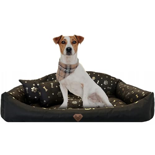 EDANTI Hundebett Hundekissen Hundekorb Modell Shell Muschel Katzenbett Wasserdichtes Hundesofa Für Kleine Mittelgroße & Große Hunde Dog Bed (Braun mit goldenen Knochen, 115x95 cm) von EDANTI