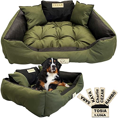 EDANTI Hundebett Hundekissen Katzenbett Personalisiert Hundesofa mit Namen L - XL für große mittelgroße & kleine Hunde (100x75, Grün) von EDANTI