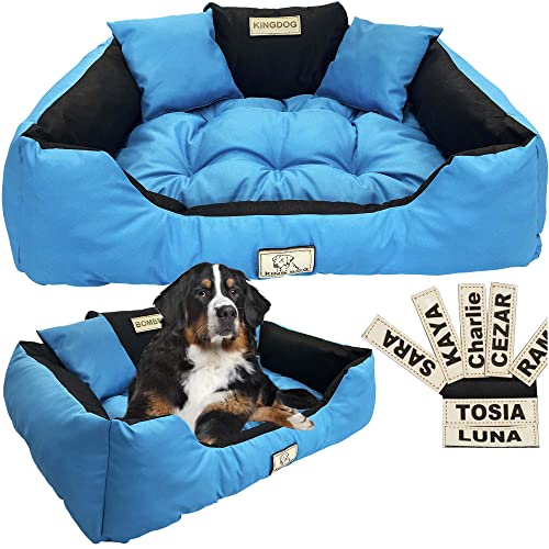 EDANTI Hundebett Hundekissen Katzenbett Personalisiert Hundesofa mit Namen L - XL für große mittelgroße & kleine Hunde (100x75, Blau) von EDANTI