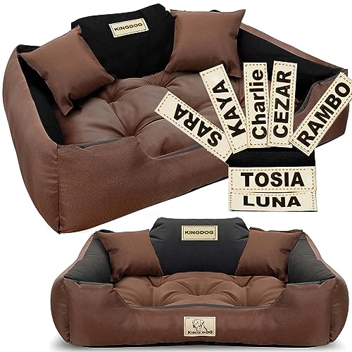 EDANTI Hundebett Personalisierte, Wasserdicht, Hundekissen, Hundekorb, Hundesofa, Hundecouch, Sofa, Erhöhte Ränder, KINGDOG Braun (100x75 cm) von EDANTI