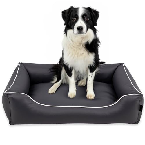 EDANTI Hundebett Wasserdicht Demontierbar, Leder, Hundekissen, Hundekorb, Hundesofa, Hundecouch, Sofa, Matte, Comfort (Stahl, Weiß Paspel, S) von EDANTI