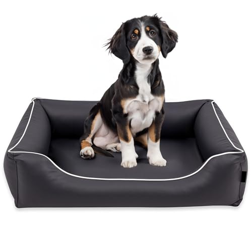 EDANTI Hundebett Wasserdicht Demontierbar, Leder, Hundekissen, Hundekorb, Hundesofa, Hundecouch, Sofa, Matte, Orthopädische (Stahl, Weiß Paspel, S) von EDANTI