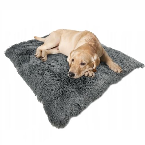 EDANTI Hundematte Hundebett Shaggy Zottelig Hundekissen Hundematratze Warmes Matten Für Kleine Mittelgroße & Große Hunde Dog Bed Hundekorb (70x50 cm) von EDANTI