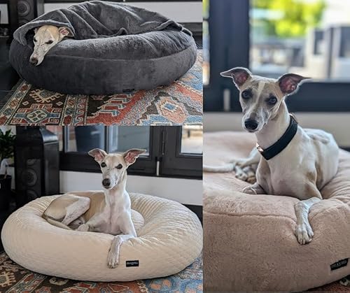 EDEL&SCHNELL Hundebett rund im Set mit waschbarem Bezug inkl. Kapuze grau 125 cm, orthopädisches Hundebett, Hundekissen mit kühlender Oberfläche von EDEL&SCHNELL