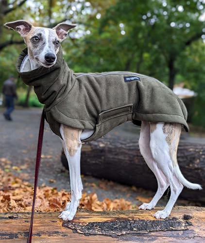 EDEL&SCHNELL Hundemantel kleine Hunde 35 bis 40 cm luxuriöse Hundejacke in grün mit Bauchschutz Windhund Wintermantel wärmend mit Wildleder und weichem Kunstfell von EDEL&SCHNELL