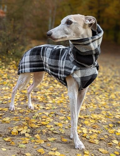 EDEL&SCHNELL Hundemantel mittelgroße Hunde 50 bis 55 cm handgefertigte Hundejacke in Schottenkaro mit Bauchschutz Windhund Wintermantel wärmend mit Wollanteil von EDEL&SCHNELL