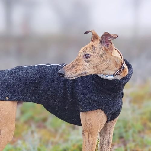 EDEL&SCHNELL Hundemantel warm, Hundejacke aus Wolle, Wintermantel für Hunde mit Rückenlänge von 70-75cm, Schwarz mit langem Kragen und Reflektoren von EDEL&SCHNELL