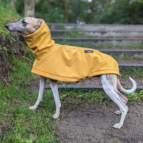 EDEL&SCHNELL Hunderegenjacke reflektierend, Hunderegenmantel aus robustem Softshell, Regenjacke für Hunde Größe 50-55, Gelb mit langem Kragen und Leinenausschnitt von EDEL&SCHNELL