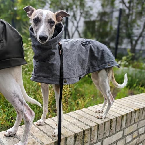 EDEL&SCHNELL Hunderegenjacke reflektierend, Hunderegenmantel aus robustem Softshell, Regenjacke für Hunde Größe 55-60, Grau mit langem Kragen und Leinenausschnitt von EDEL&SCHNELL