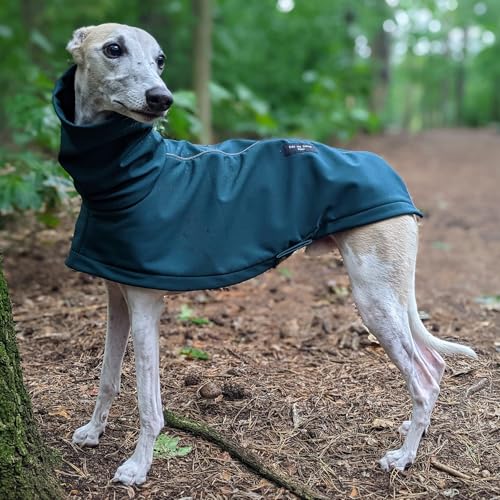 EDEL&SCHNELL Hunderegenjacke reflektierend, Hunderegenmantel aus robustem Softshell, Regenjacke für Hunde Größe 55-60, Grün mit langem Kragen und Leinenausschnitt von EDEL&SCHNELL