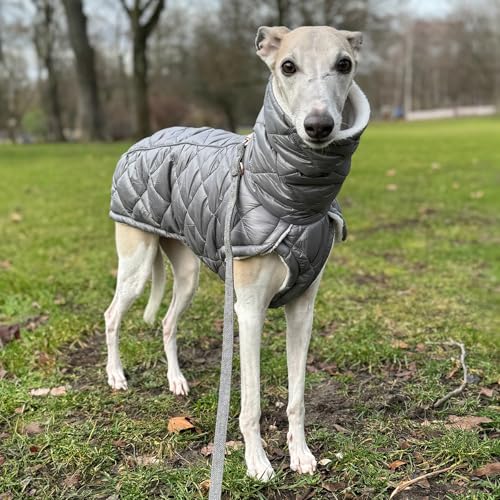 EDEL&SCHNELL Stepp-Wintermantel grau gefüttert mit Kunstpelz, Winterjacke Hund mit Reißverschluss, Hundemantel für große Hunde Rückenlänge 60-65 cm von EDEL&SCHNELL