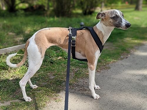 EDEL&SCHNELL Whippet Greyhound Galgo Hundebett orthopädisch rund mit robuster Cord Oberfläche, orthopädisches Hundebett waschbar, 90 cm Durchmesser von EDEL&SCHNELL