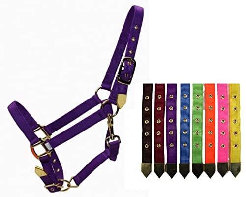 EE Tack Deluxe Halfter - 2-Fach verstellbar - Brass Snap - 8 versch. Farben - Gr. M (Berry Blue) von EE Tack