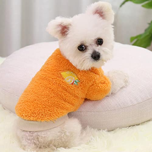 Warme Winterhundekleidung für kleine Hunde Sweatshirts Tierkleidung Jahr Hundepullover Teddy Zweibeiniger Hund Heimtierbedarf von EFFGAMU