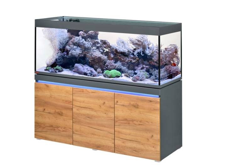 EHEIM incpiria reef 530 Meerwasser-Riff-Aquarium mit Unterschrank graphit-natur