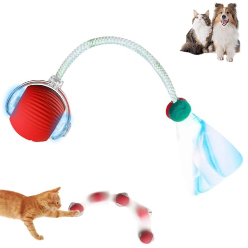 EHOTER Elektrisches Katzenspielzeug mit Schwanz für Hunde Katzen Selbstbeschäftigung Interaktives Katzenspielzeug mit Libellenschwanz Unregelmäßige Bewegung Rolling Ball Smart Interactive Chewy von EHOTER