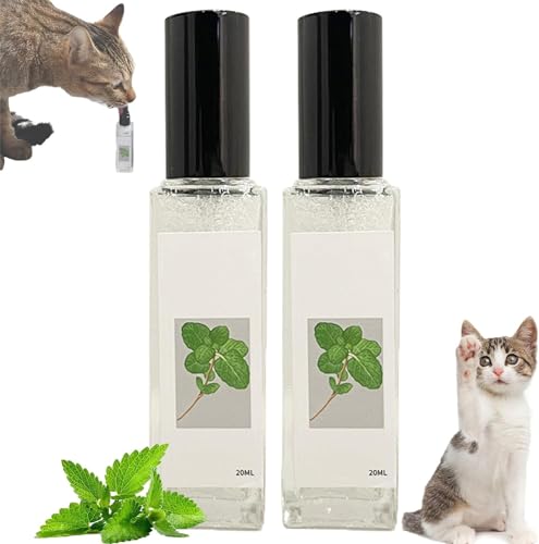 EHOTER Herbal Cat Joy Spray Catnip Spray Katzenminze-Spray für Katzen Katzenkratzspray-Nebel Katzentrainingsspray mit Katzenminze Kräuterspray für Katzen Haustier Hund Spielzeug (2) von EHOTER