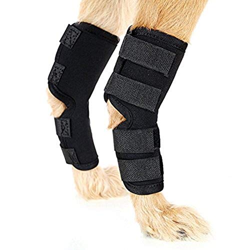 EHOTER Hunde Bandage für Hinterbeine Unterstützt Wundheilung und Verstauchungen durch Arthritis mit 4 Sicherheits-Klettriemen um Verletzungen und Verstauchungen zu verhindern (S) von EHOTER