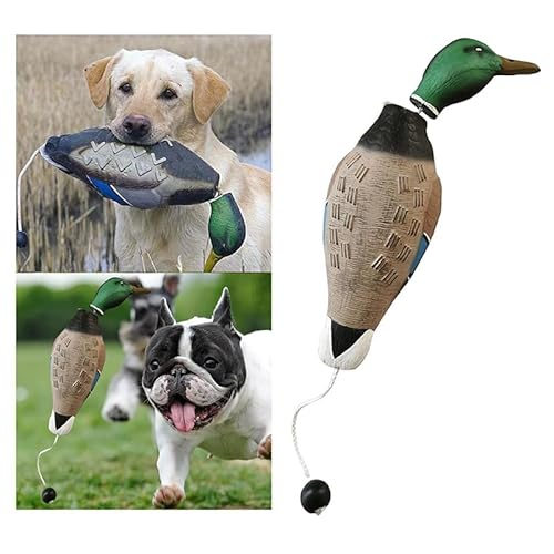 EHOTER Hundetraining Entenschnuller Robust Langlebig Trainingsdummy mit Wurfknebel Hund Retrieve Schnuller Vogeldummy Hundetraining für Welpen Erwachsene Jagdhunde Katzen Haustier von EHOTER