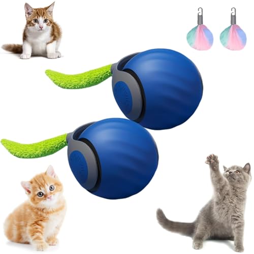 EHOTER Speedy Tail Katzenspielzeug, interaktives Katzenspielzeug für Indoor-Katzen, automatisch beweglicher Katzenspielzeugball, USB-wiederaufladbar, intelligentes Katzenspielzeug, Ball, zwei von EHOTER