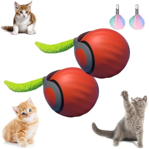 EHOTER Speedy Tail Katzenspielzeug, interaktives Katzenspielzeug für Indoor-Katzen, automatisch beweglicher Katzenspielzeugball, über USB wiederaufladbar, intelligentes Katzenspielzeug, Ball, zwei von EHOTER