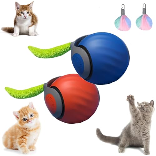 EHOTER Speedy Tail Katzenspielzeug Interaktives Katzenspielzeug für Indoor-Katzen, Automatisch Beweglicher Katzenspielzeug-Ball, USB wiederaufladbar, intelligentes Katzenspielzeug, Ball, zwei von EHOTER