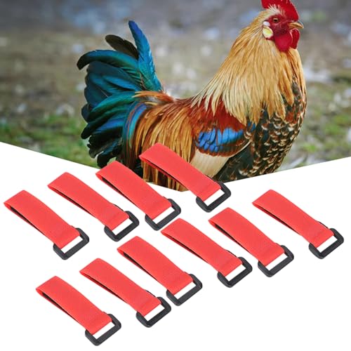 5 Beutel Hahngeräusch-Halsband, Nylonhalsband, Anti-Haken-Hahnhalsband, Haustier-Hühnerversorgung, für Größere Haustierhühner von EIMSOAH