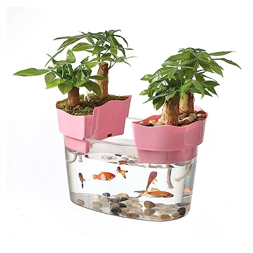 Fischschalen Aquarium Aquarium Acryl Transparent Aquarium Tank Schildkröte Tank Kleiner einfacher ökologischer Tank for Aquarien Bonsai Desktop Ornamente Mittelstücke Vase (Size : M:35cm) von EINES