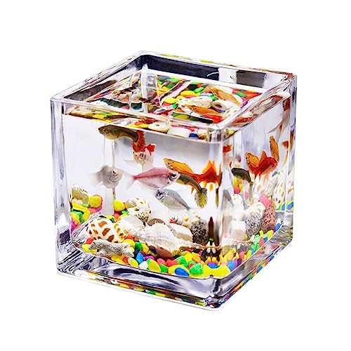 Fischschalen Aquarium Aquarium-Glas, quadratisch, verdickt, transparent, Aquarium, Arbeitsplatte, Kleiner Heimtank for Aquarien, ökologische Schildkrötenpanzer-Ornamente Mittelstücke Vase (Size : S) von EINES