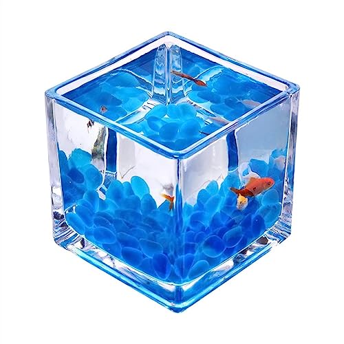 Fischschalen Aquarium Tank for Aquarien, Glas, quadratisch, verdickte Tischplatte, transparent, Kampffischtank, kleine ökologische Aquarium-Tank-Ornamente Mittelstücke Vase (Size : M) von EINES