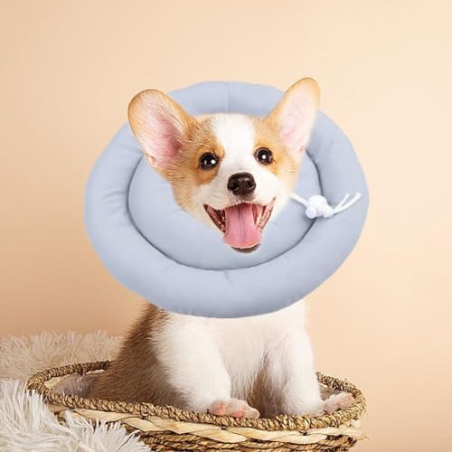 Weiche Hundekegel-Alternative nach Operationen, Bequeme Hundehalsbänder zur Genesung Hunde, für kleine Verstellbarer Hundehalskegel von EIRZNGXQ