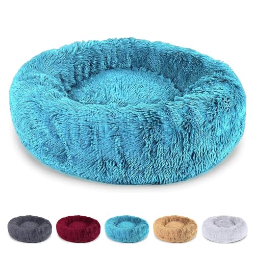 EL ÁTICO PETS Mittelgroßes und kleines Hundebett, Hundebett, strapazierfähig, waschbar, Langhaarbett für Katzen und andere mittelgroße Haustiere (türkis, 70 x 50 cm) von EL ÁTICO PETS