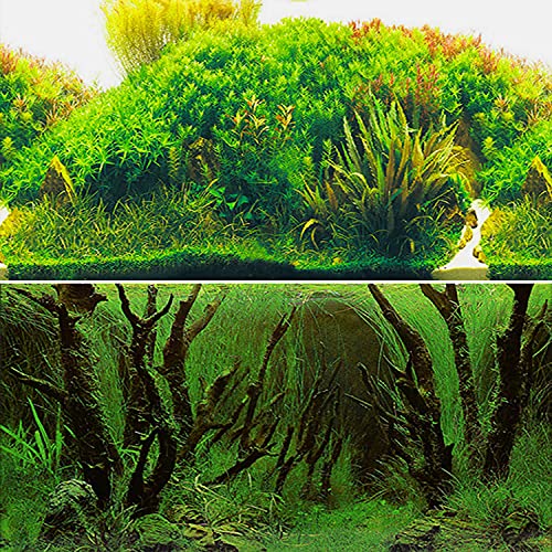 ELEBOX Papier-Tapete für Aquarien, 50,8 x 121,9 cm, zweiseitig, bunt, Meeresalgen, Wasserpflanzen, Aquarium-Poster-Dekoration von ELEBOX