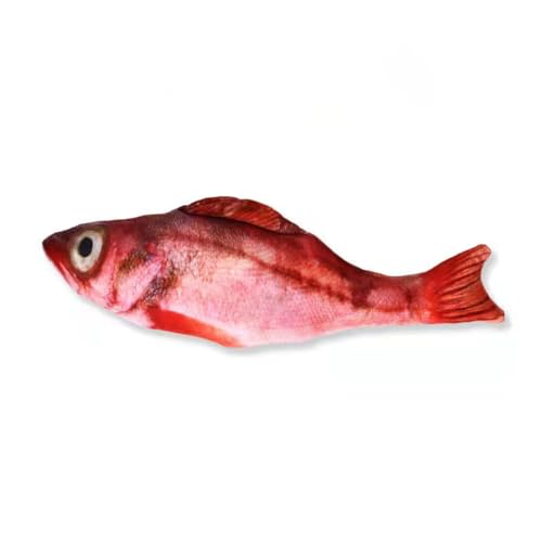 ELMAIN Katzenspielzeug Fisch Plüsch Gefüllte Kissen 20Cm Simulation Fisch Katze Spielzeug Fisch Interaktives Haustier Kauspielzeug 10Pcs 10 von ELMAIN