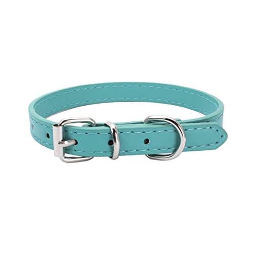 Haustierhalsband Hundehalsband Legierung Schnalle Leine Einstellbare Größe Geeignet for kleine bis mittelgroße Hunde (Color : Green, Size : 37x1.3CM) von ELSAIL