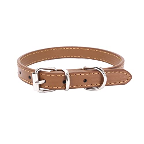 Haustierhalsband Hundehalsband Legierung Schnalle Leine Einstellbare Größe Geeignet for kleine bis mittelgroße Hunde (Color : Orange, Size : 37x1.3CM) von ELSAIL