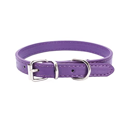 Haustierhalsband Hundehalsband Legierung Schnalle Leine Einstellbare Größe Geeignet for kleine bis mittelgroße Hunde (Color : Purple, Size : 37x1.3CM) von ELSAIL