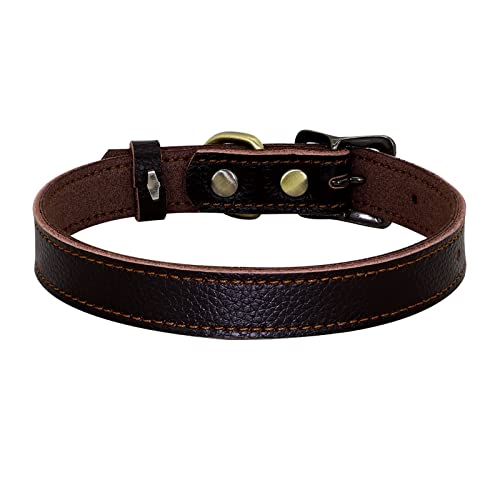 Hundehalsbänder, weiche Hunde- und Katzenhalsbänder, verstellbare Halsketten, Legierungsschnalle, Hundeleinen, Heimtierbedarf (Color : Brown, Size : 20-30cm) von ELSAIL