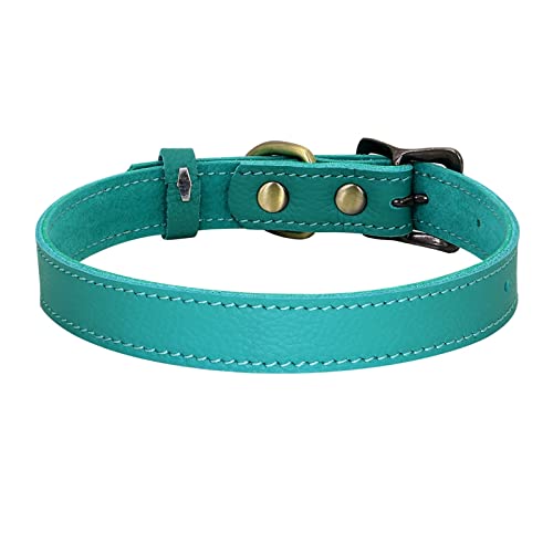 Hundehalsbänder, weiche Hunde- und Katzenhalsbänder, verstellbare Halsketten, Legierungsschnalle, Hundeleinen, Heimtierbedarf (Color : Green, Size : 30-40cm) von ELSAIL