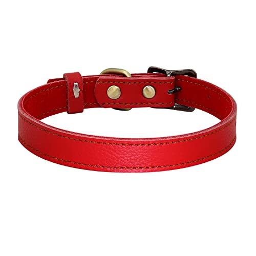 Hundehalsbänder, weiche Hunde- und Katzenhalsbänder, verstellbare Halsketten, Legierungsschnalle, Hundeleinen, Heimtierbedarf (Color : Red, Size : 30-40cm) von ELSAIL